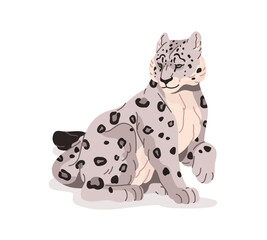 Cute wild irbis sits. Snow leopard relaxes. Big cat with spotted fur. Wildcat of snowy mountains, panthera. Fauna of forest, woodland wildlife. Flat isolated vector illustration on white background