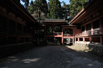 日本、京都,、比叡山、花、山、絶景、景色、春の絶景、ポット、神社、寺院、木造建築旅行、風景、旅、森,、自然、空,、春、木、写真素材	
