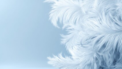 Light blue feather cluster