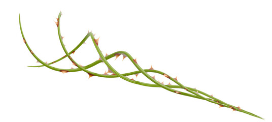 An abstract object with sharp thorns, rendered in 3D. The organic form of the spiky branch is perfect for unique decorative pieces.
