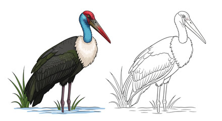 Fototapeta premium Asian Woolly Necked Stork Coloring Page with Outline Bird for Detailed Study Fun