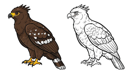 Fototapeta premium Powerful Crested Serpent Eagle Coloring Page with Clean Dual View for Artists