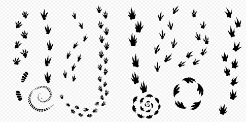 Collection of various animal footprint trails, including straight lines, curves, spirals, and circular patterns.