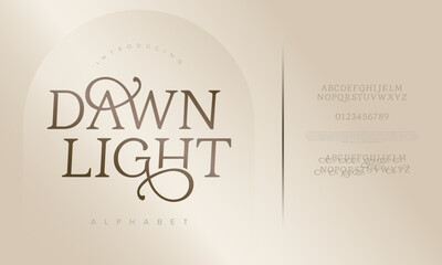 Elegant Dawn Light Alphabet Modern Decorative Typeface