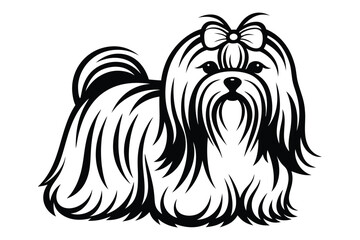 Shih Tzu with Bow Ties on White Background Cute Isolated