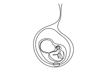 One Line Drawing of Fetus in Womb | Minimalist Pregnancy Vector Illustration