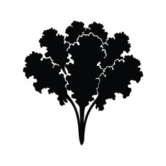Silhouette of vibrant leafy greens, showcasing the elegance of curly kale, kale bunch silhouette vector illustration