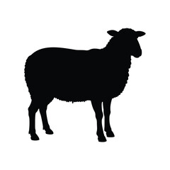 Silhouette of a sheep standing, emphasizing its woolly coat against white background, sheep silhouette vector illustration