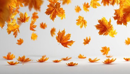 Falling autumn leaves against a light background (1)