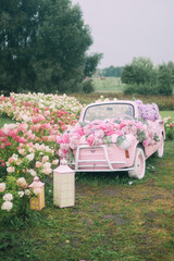 Pink Vintage Car Adorned with Hydrangeas in a Lush Garden Setting