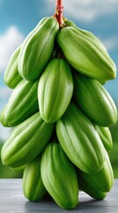 Obraz premium Freshly harvested green papayas hanging from a tree in a sunny tropical landscape