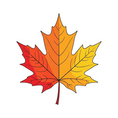 Obraz premium Colorful autumn maple leaf vector illustration isolated. isolated transparent background