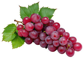 Fototapeta premium Red grapes dry bunch isolated on white background, generative ai.