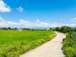 road to the sky clean and unique latest