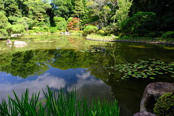 日本、京都、平安神宮、神社、庭園、文化財、木造建築、古代建築、日本文化、歷史名勝、文化財、木、綠色、青空、写真素材