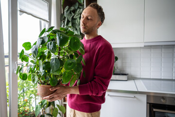 Calm man florist holding lush bush Pilea peperomioides houseplant in clay pot, standing on kitchen....