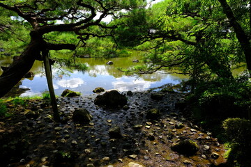 日本、京都、平安神宮、神社、庭園、文化財、木造建築、古代建築、日本文化、歷史名勝、文化財、木、綠色、青空、写真素材