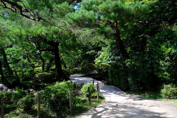 日本、京都、平安神宮、神社、庭園、文化財、木造建築、古代建築、日本文化、歷史名勝、文化財、木、綠色、青空、写真素材