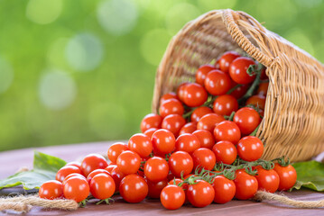 Red Tomato bouquet with leaves on the wooden table in blur background, Fresh Red Tomato in wooden basket on wooden Background.