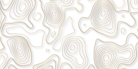 Fototapeta premium Abstract white golden gradient Topographic line map pattern background. Contour elevation topographic and textured Background Modern design with White background with topographic wavy patte. 