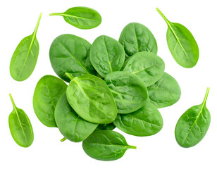 Fototapeta premium Spinach leaves isolated on white background. Baby Spinach leaf Flat lay. Top view. Espinach leaves