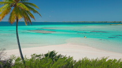 Woman happily floats on a yellow raft in crystal clear turquoise waters near a tropical island. With a palm tree and white sand beach in the background
