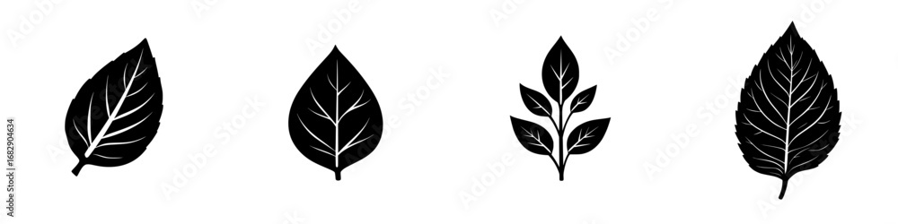 Poster minimalist black-and-white vector illustration of botanical leaves in various shapes and sizes on a 