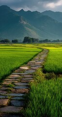 A stone path winds through vibrant green rice paddies, leading to a hazy mountain range