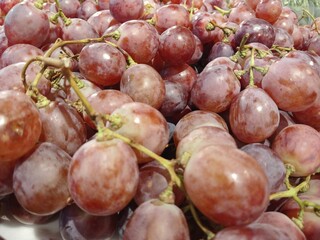 Close-up of fresh red grapes on the vine, showcasing their juicy texture and natural shine. Perfect...