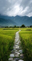 Fototapeta premium A stone path winds through a vibrant rice paddy field, leading to a backdrop of misty mountains under a cloudy sky