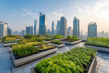Fototapeta premium Rooftop garden with hydroponic system, smart irrigation, modern city skyline background.