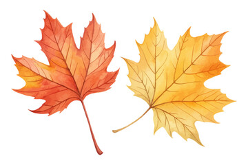 Watercolor Autumn Leaves Set in Orange and Yellow Tones