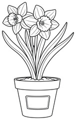 Daffodil vector illustration of two blooming spring flowers with long leaves growing in a simple plant pot filled with soil designed in a clean decorative style