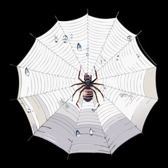 Minimalist Spiderweb with a Single Spider Hanging Spooky Halloween Element Vector Flat Illustration