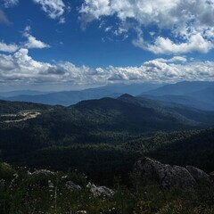 Scenic Mountain Landscape with Lush Forests