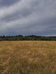 Vast Field Under Cloudy Sky