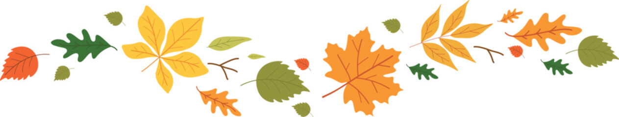 Wave from the autumn colorful leaves on transparent background. 