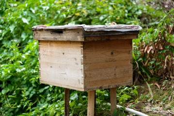 Wooden beehive in the orchard.

