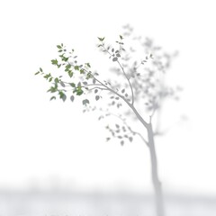 Fototapeta premium A tree with green leaves on some branches, and faded branches on the other side, against a white background.