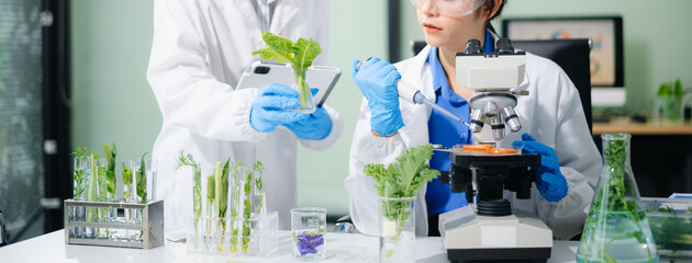 Scientist team testing food samples in lab with microscope, vegetables,  for safety, nutrition, and...