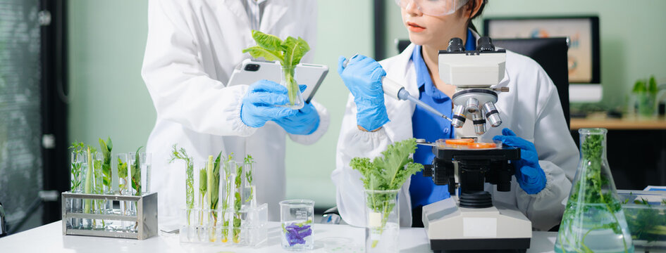 Scientist team testing food samples in lab with microscope, vegetables,  for safety, nutrition, and biotechnology