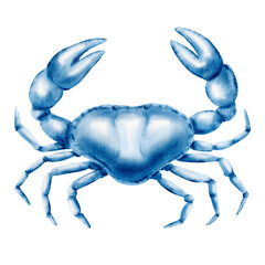 Solitary crab navigates a serene underwater world,drawn in delicate blue watercolor monochrome.Perfect for marine themes and coastal designs.Hand-drawn illustration isolated on white.