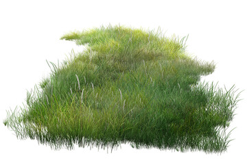 grass isolated on white background/Isolated grass meadow foliage plants in green nature PNG, fresh vegetation lawn pasture for summer growth.