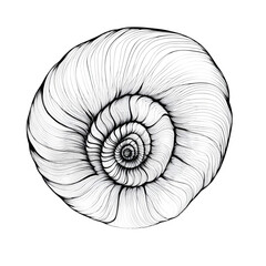 Obraz premium Organic black line swirl forming a stylized shell, on white background