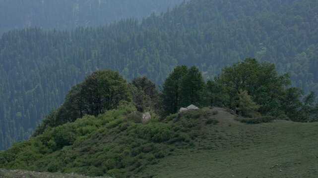 India breathtaking mountain views Tirthan Valley, and serene landscapes Shoja Himachal Pradesh India.	