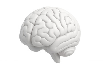 White human brain rendered in photorealistic 3d, floating against transparent backdrop, highlighting neurological structure for medical visualization and cognitive concept imagery