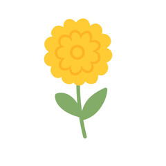Yellow Marigold Flower Illustrationyellow flower isolated on white background