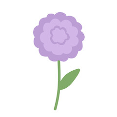 Purple Dahlia Flower Illustration