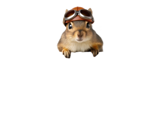 A squirrel wearing aviator goggles peering over an edge against a black background looking forward