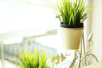 A pair of potted plants sitting atop a table, great for home decor or office use